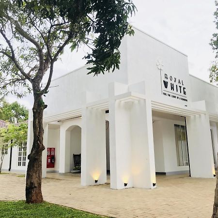 Royal White Tourist Rest Hotel Anuradhapura Luaran gambar