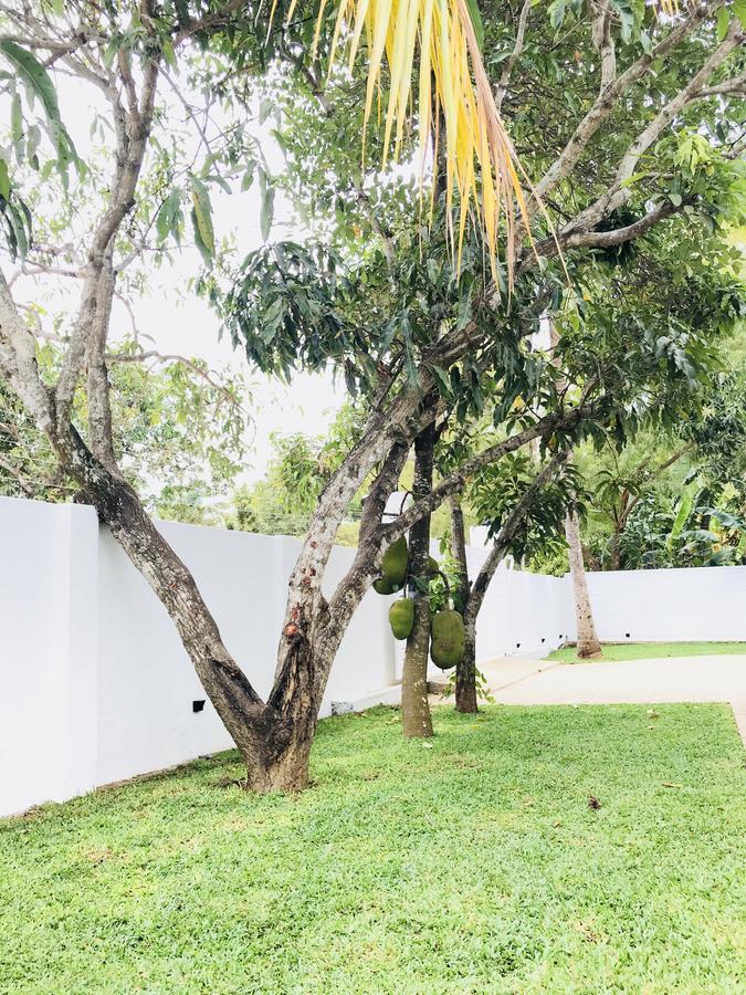 Royal White Tourist Rest Hotel Anuradhapura Luaran gambar