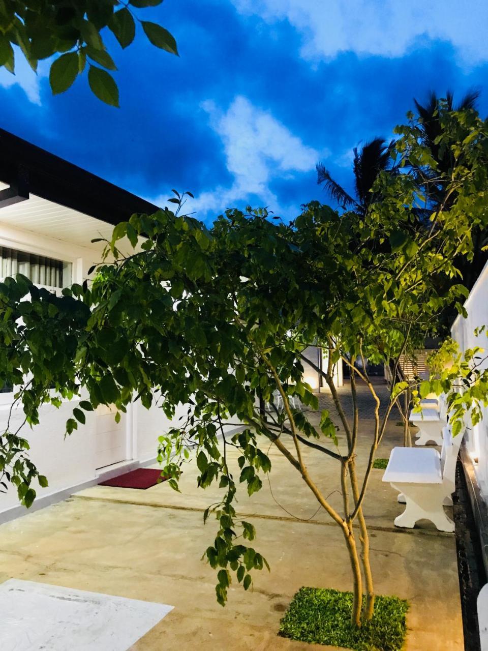 Royal White Tourist Rest Hotel Anuradhapura Luaran gambar